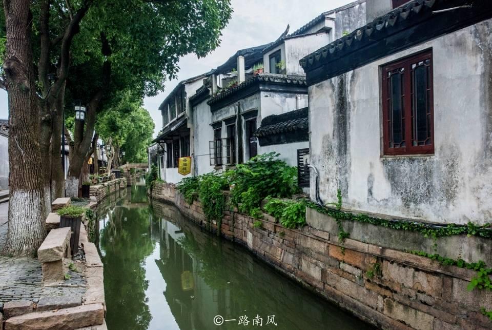 小艾比当营养师